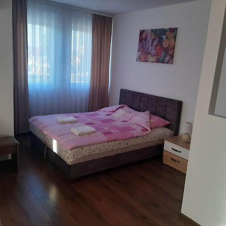 Bed and Breakfast Vila Centar Mb à Sjenica Extérieur photo