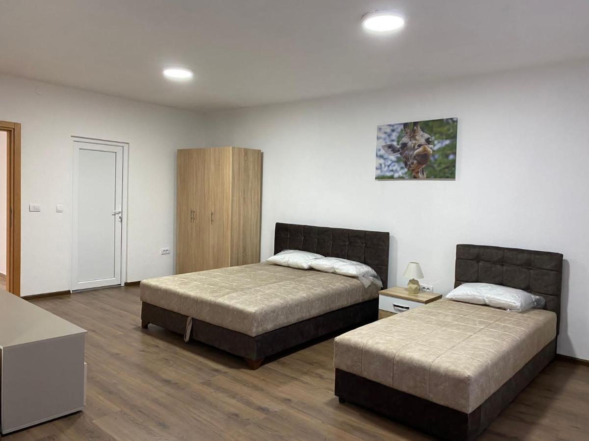 Bed and Breakfast Vila Centar Mb à Sjenica Extérieur photo