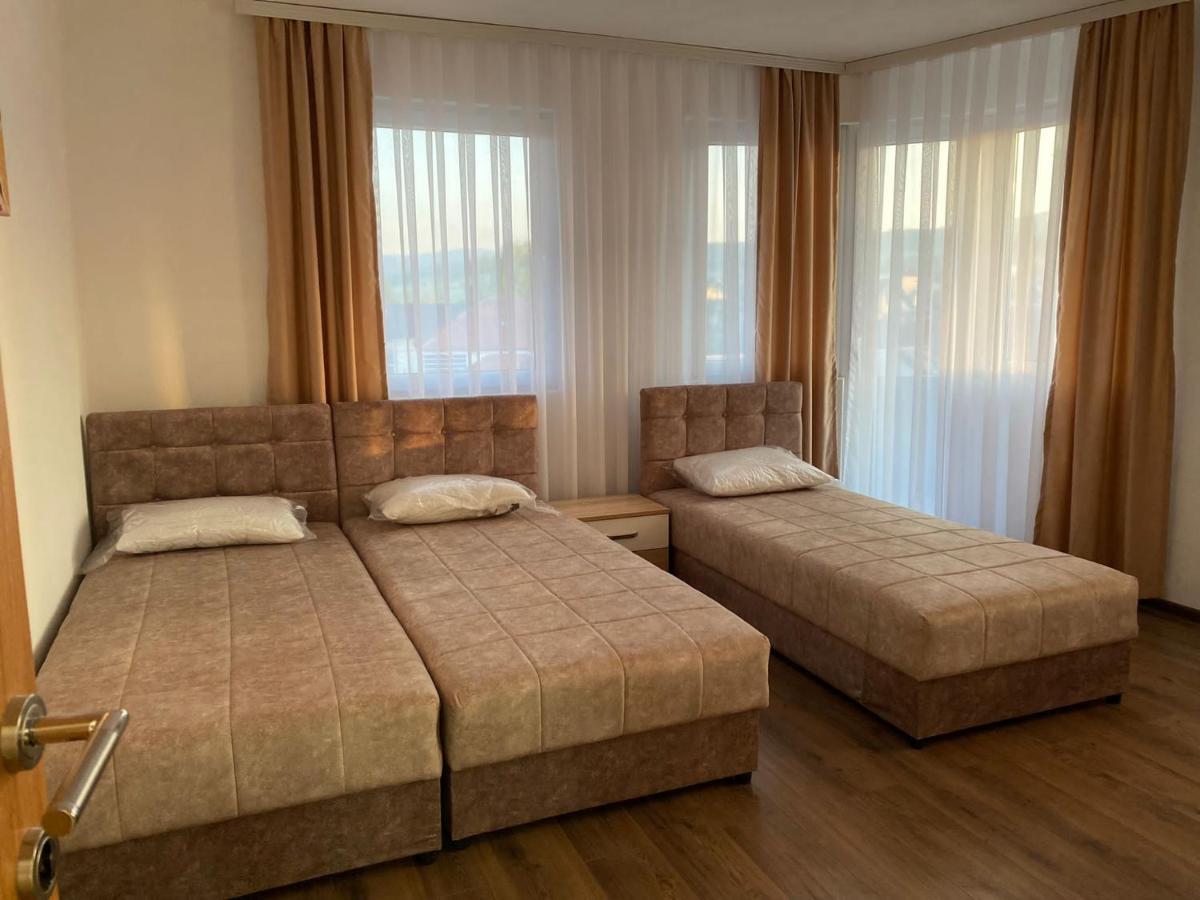 Bed and Breakfast Vila Centar Mb à Sjenica Extérieur photo