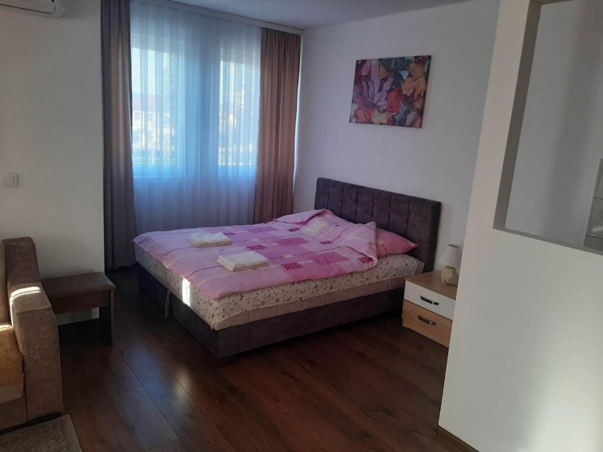 Bed and Breakfast Vila Centar Mb à Sjenica Extérieur photo